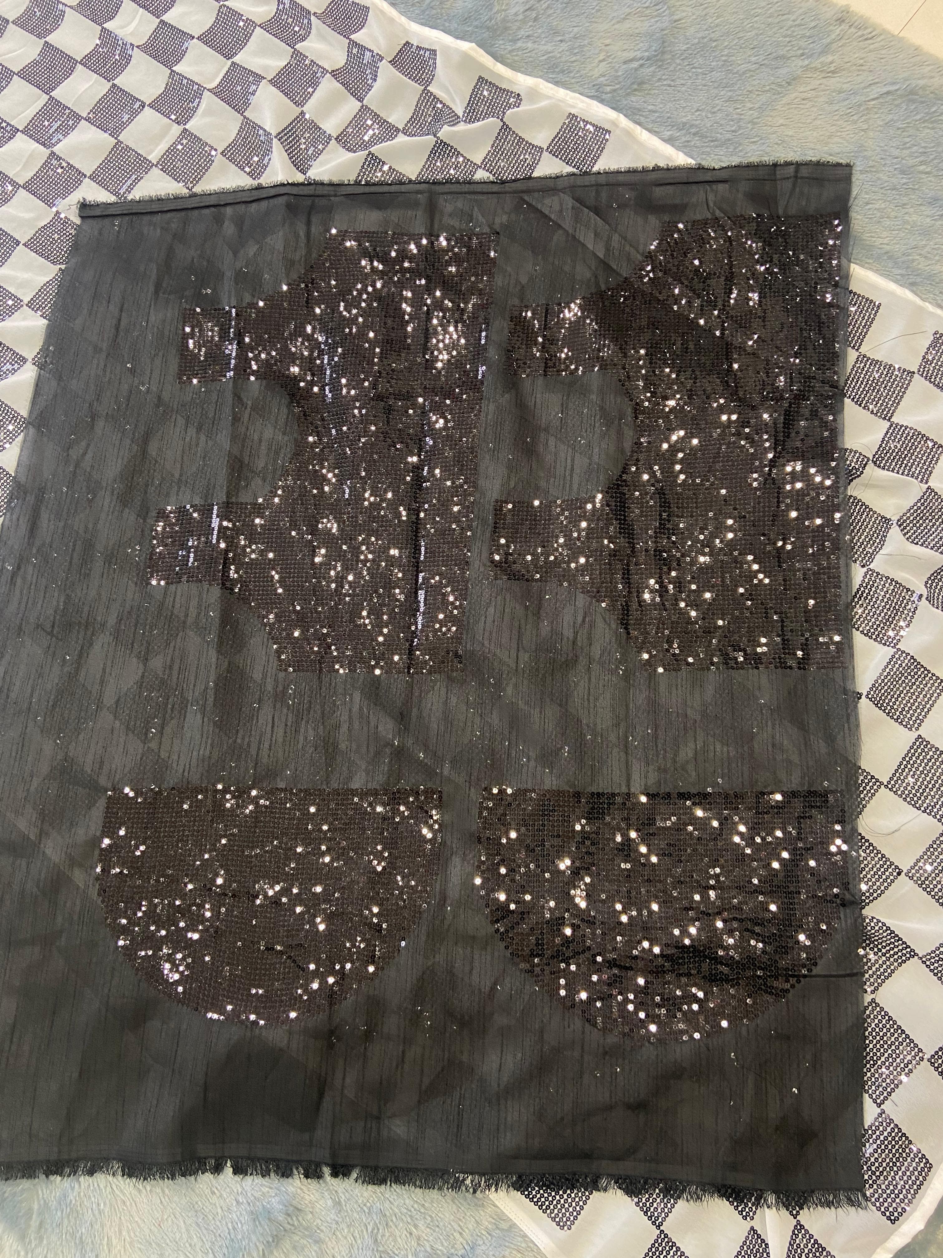 Beautiful Sequins Saree