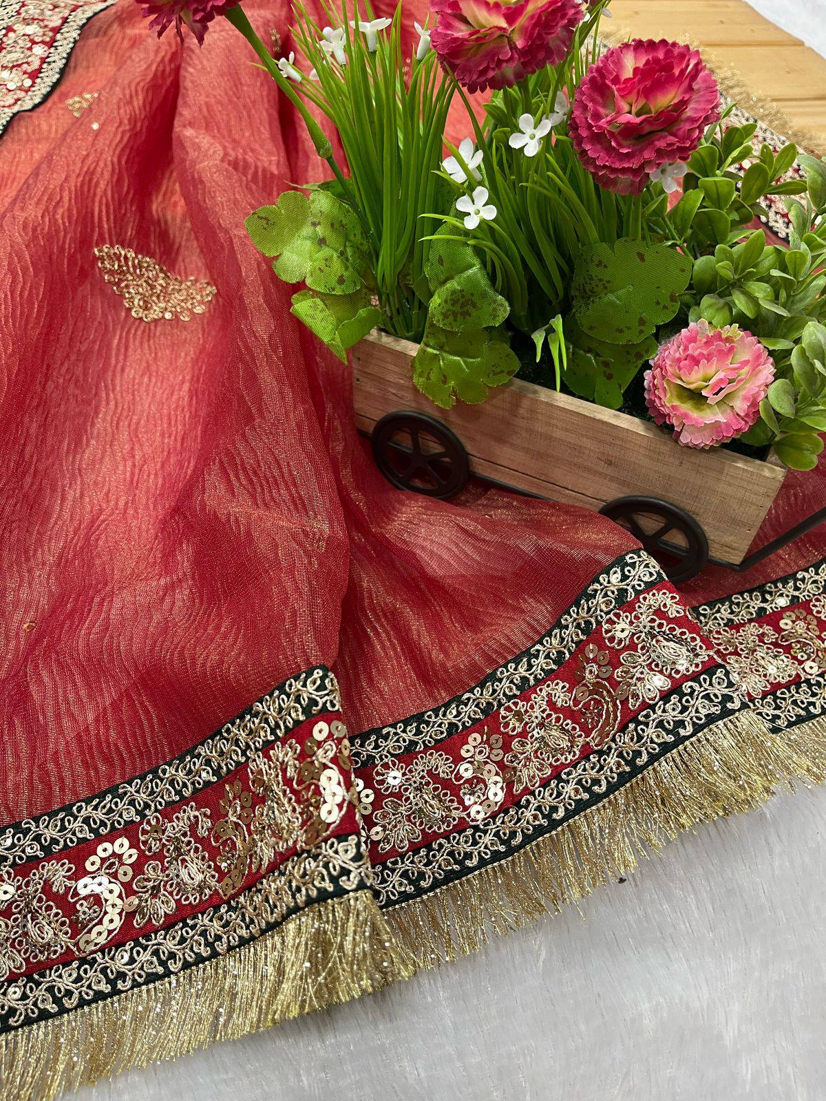 BEAUTIFUL TRADITIONAL SAREE