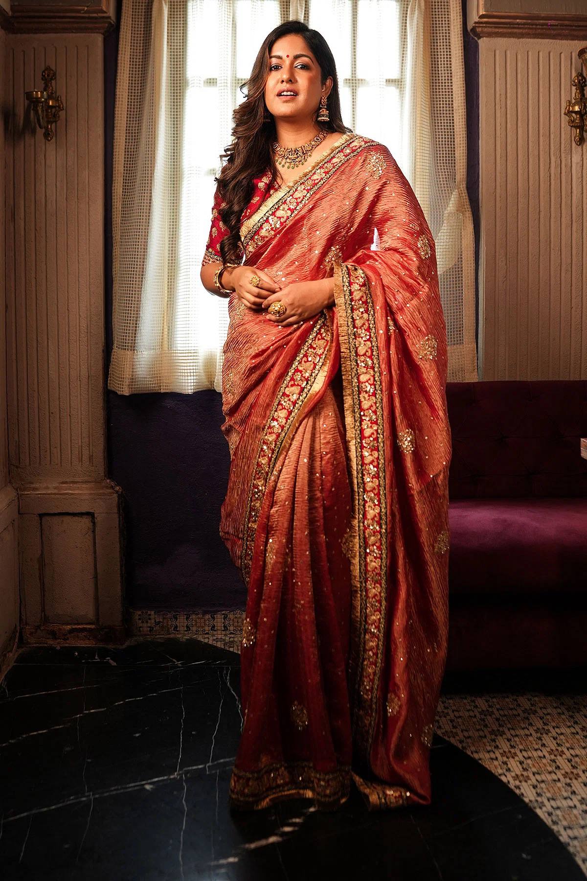 BEAUTIFUL TRADITIONAL SAREE