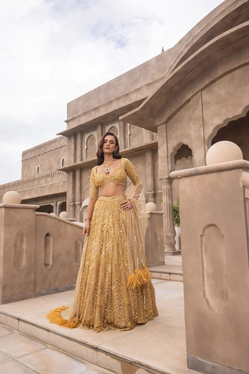 Most Prettiest Lehenga