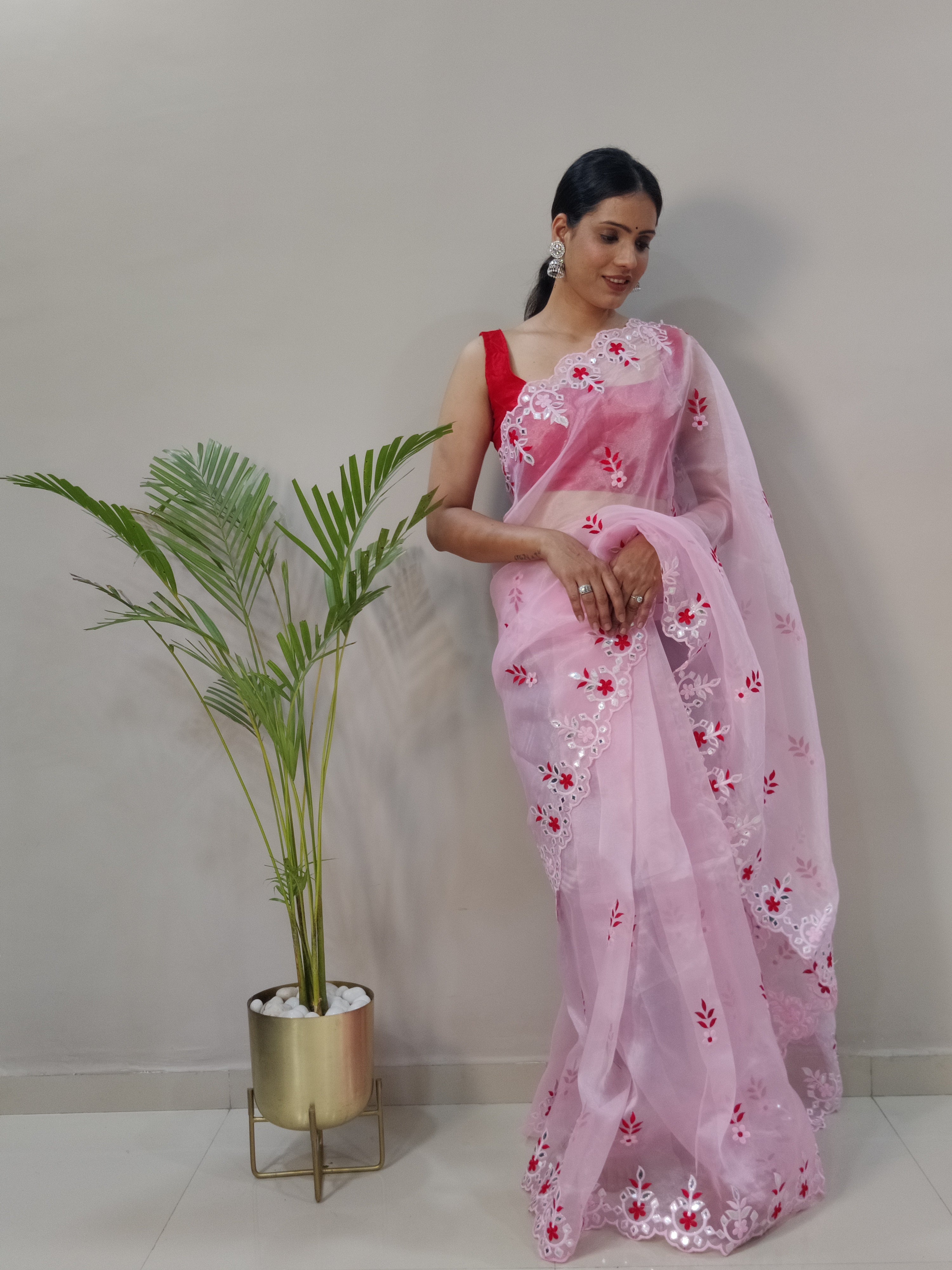 Beautiful Organza Saree