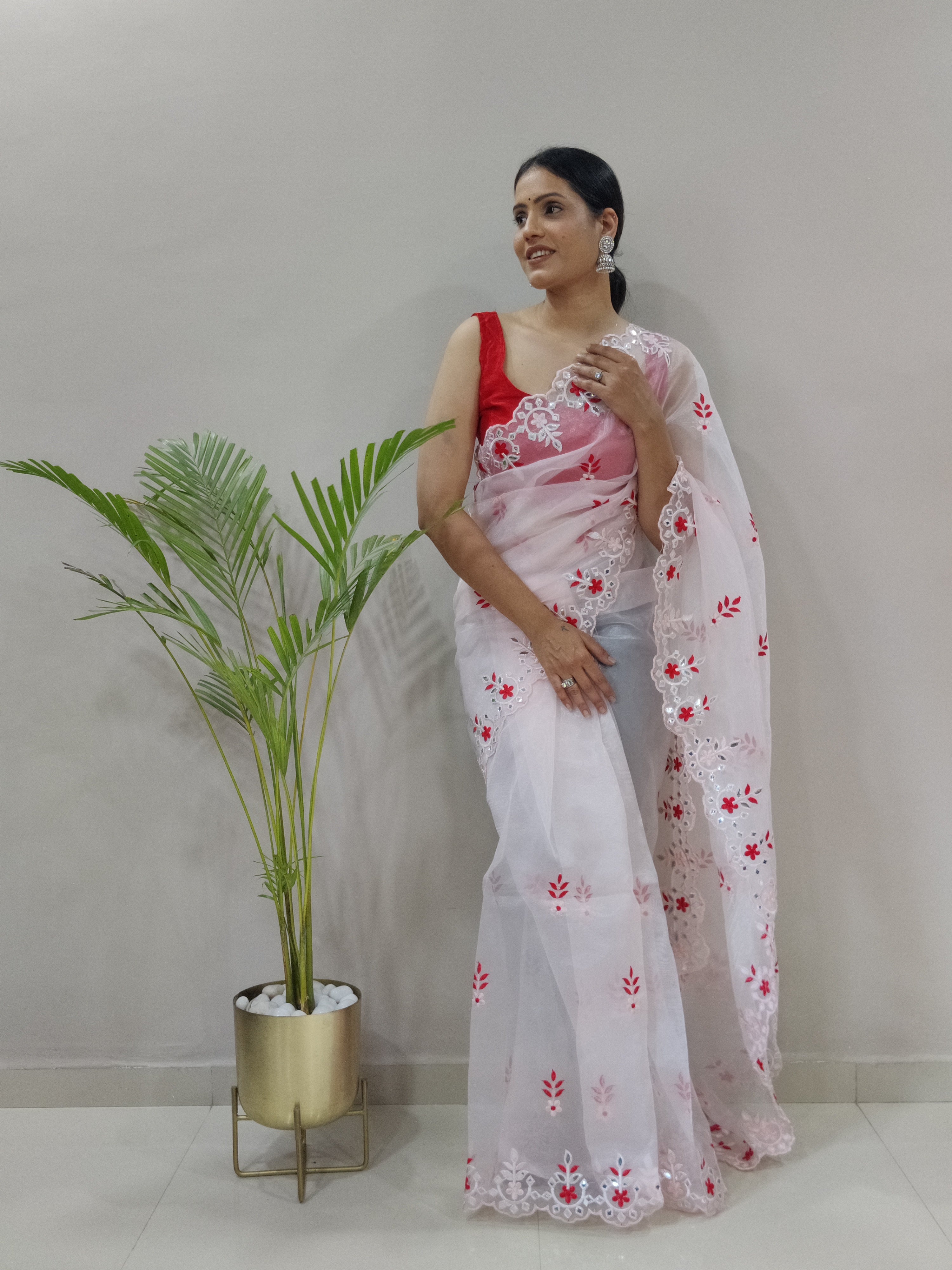 Beautiful Organza Saree